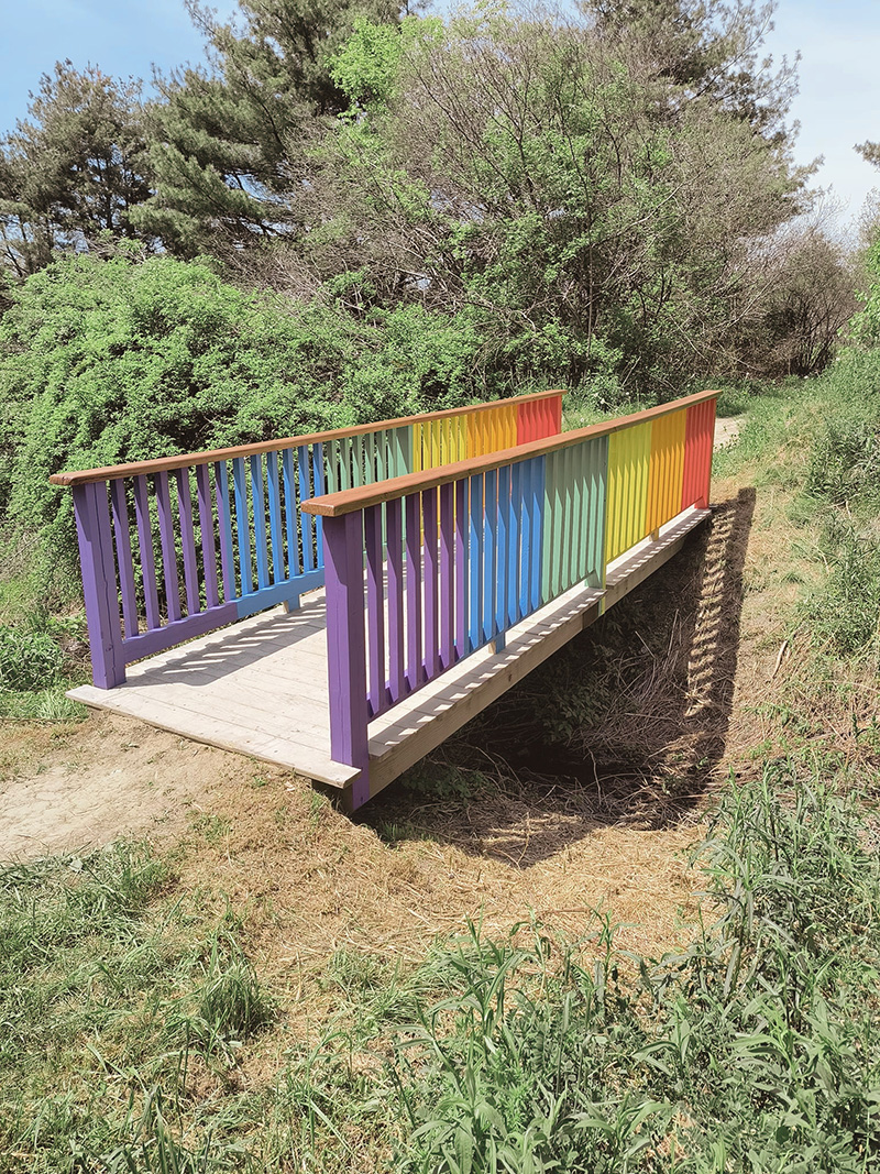 rainbow bridge on a walking path with trees